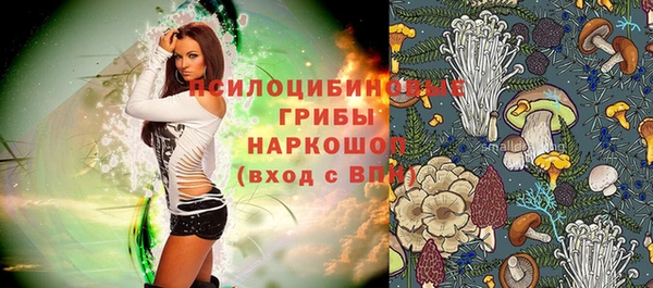 дмт Инта