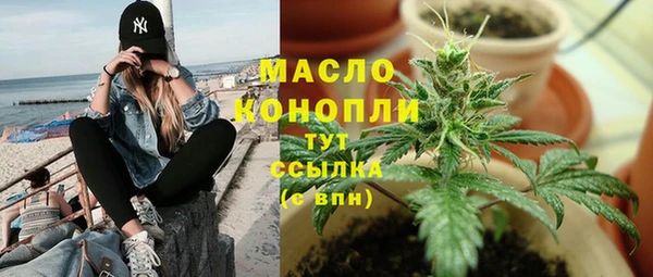 дмт Инта