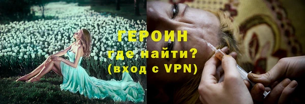 дмт Инта