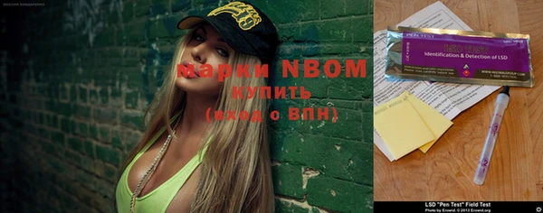 дмт Инта