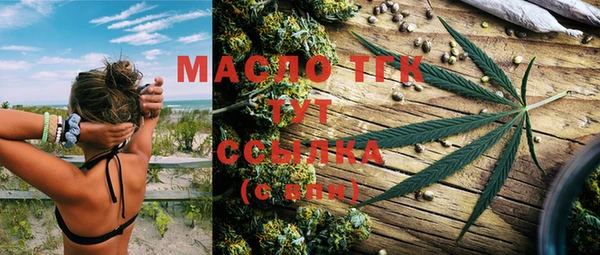 дмт Инта